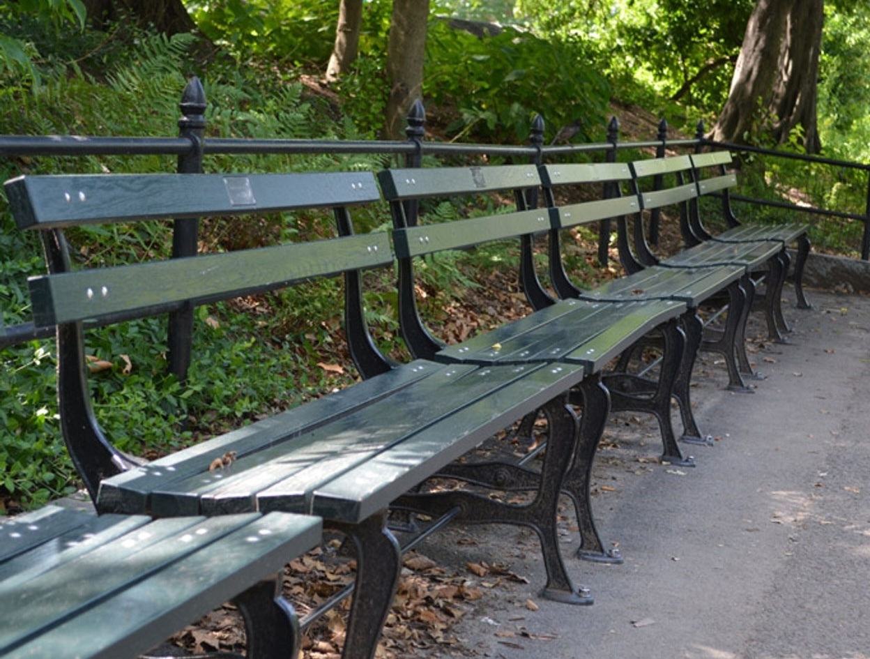 centralparkbench-2024.jpg