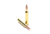 SAA 223 caliber 55 grain ammunition
surplusammo.com