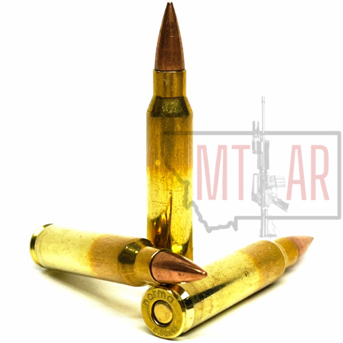 5.56 62 Grain M855 Bullet SAA Ammo SAAM855 - 50 Rounds
SAAM855