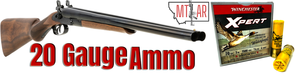 cim-20-gauge-coach-sxs-shotty-n-ammos-rr1000.jpg cim-20-gauge-coach-sxs-shotty-n-ammos-rr1000.jpg