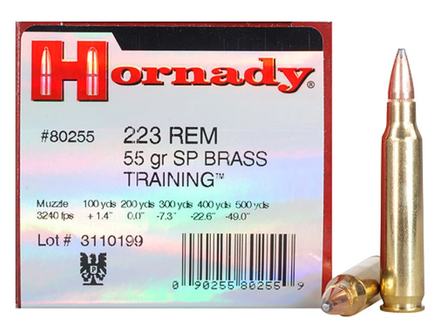 SP Hornady Training Ammo