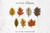 Autumn Leaves (Set of 7) Cut Files #KBecca #SVG #CutFiles #Cricut #Silhouette #Brotherscanandcut #Autumn #Fall #Leaves Autumn Leaves (Set of 7) Cut Files #KBecca #SVG #CutFiles #Cricut #Silhouette #Brotherscanandcut #Autumn #Fall #Leaves