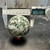 Moss Agate Sphere - A (with free sphere stand) Moss Agate Sphere - A (with free sphere stand)