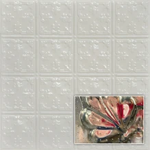 Florentine 2 ft x 2 ft - Acoustical Perforated Tin Ceiling Tiles - #210 - (Pack of 20) / 80 sqft - Eggshell White