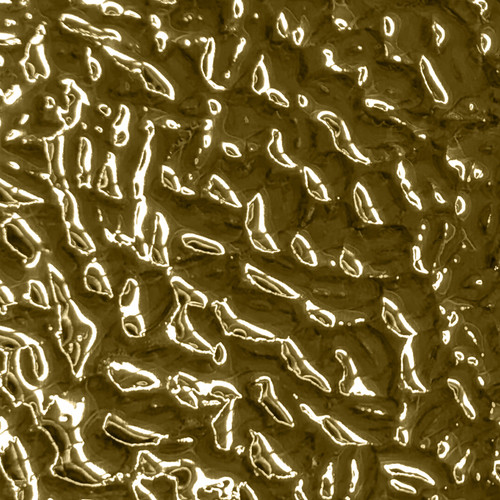 Polished Brass Ocean NuMetal Aluminum Laminate Sheet 4ft. x 8ft. 914 OCEAN