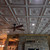 La Scala - Faux Tin Ceiling Tile - 24 in x 24 in - #223 - Antique White - Installed in Basement / Man Cave