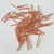 Cone Head Nails - Packs - Copper