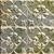 Lilac - Powder Coated - Tin Ceiling Tile  - 24 in x 24 in - #302 - Gold Nugget