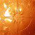 Poppy - Powder Coated - Tin Ceiling Tile - #306 - 24"x24" - Lincoln Copper