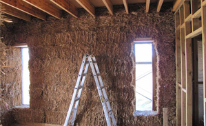Choose The Best Ceiling For Your Climate