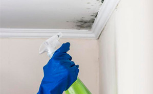 Clean Tin Ceiling Tiles