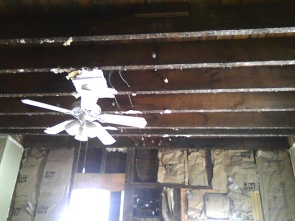 ceiling-trusses-with-a-ceiling-fan.jpg