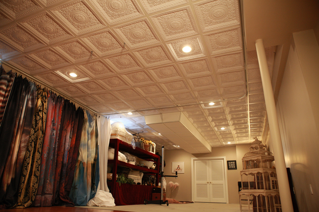 Diana Aliprandi has turned her basement into a photogrpahy studio and used decorative ceiling tiles for her ceiling.