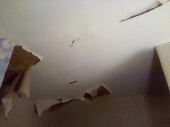 old-peeling-wallpaper-from-the-ceiling.jpg