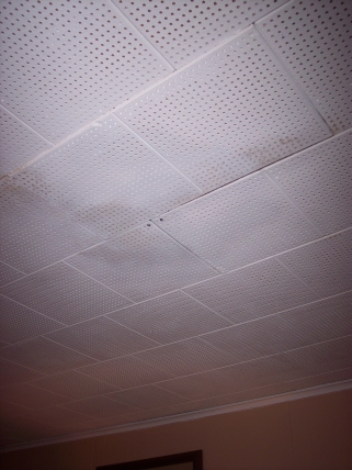 perforated-ceiling-tiles.jpg