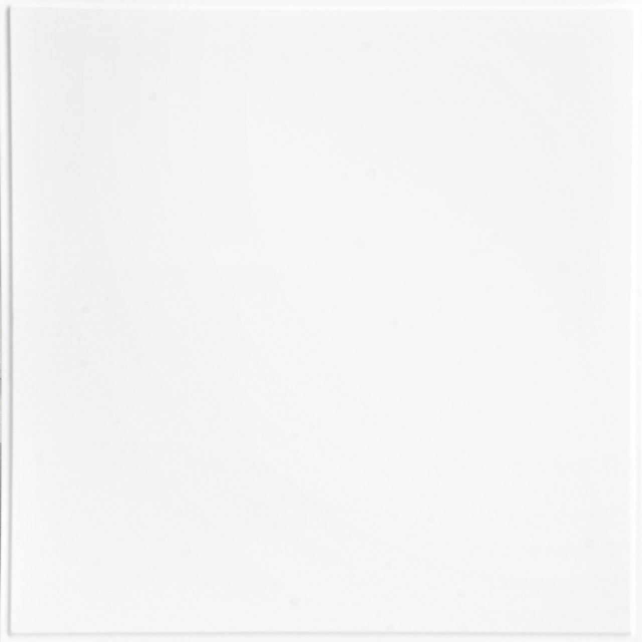 Smooth - 24 in. x 24 in. - Revealed Edge Lay-in Ceiling Tile -  Gloss White Paintable