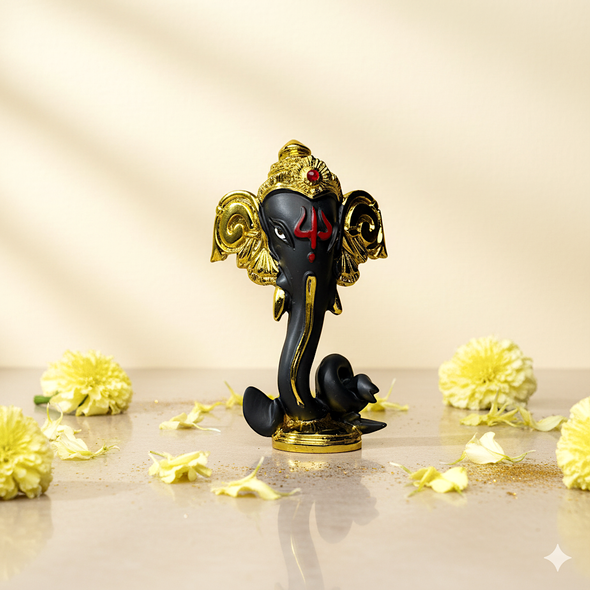 Ganesha Diwali Combo