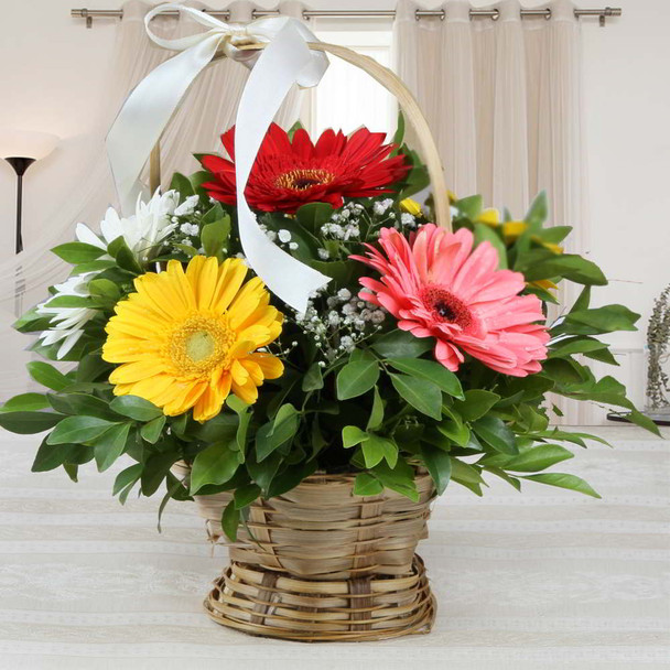 Mixed Gerberas Basket Arrangement