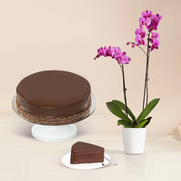 Chocolate Cake  & Orchid