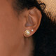 Astonished 14K Gold Plated Earrings