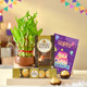 Rocher Chocolate with Good Luck Plant Birthday Gift