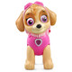 Divine Trio Rakhi Set with Paw Patrol Kids Toy