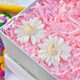 Great Divine Glow Diwali Hamper