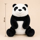 Cute Panda Rakhi Gift Combo