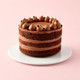 Chocolate Berry Hazelnut Cake