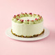 Pistachio Cream Delight Cake
