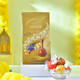 Bhaidooj Raksha Sutra with Lindt Assorted Chocolates