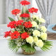 Arrangement of Yellow Carnations with Red Gerberas