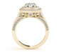 Camden 2 carat round lab grown diamond alternative cubic zirconia double halo solitaire engagement ring in 14k yellow gold.