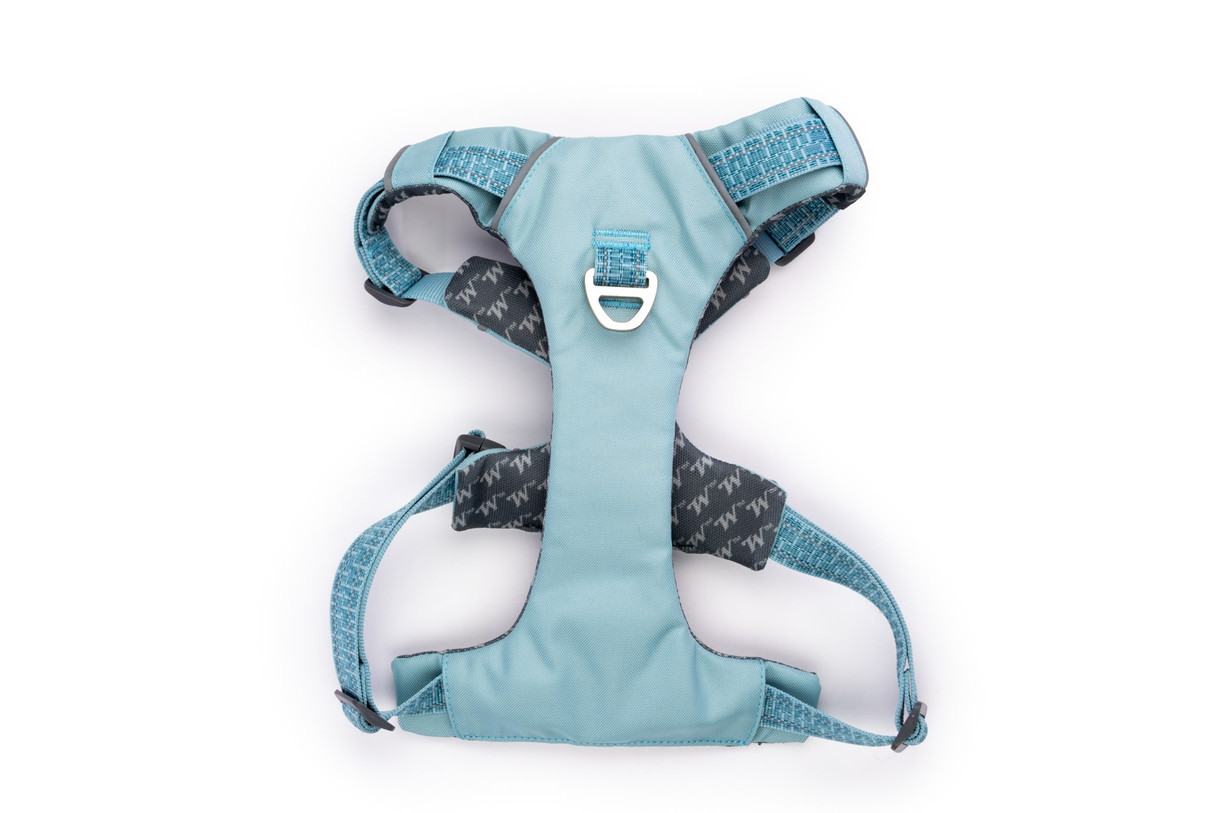Comfort-Fit No-Pull Padded Dog Harness - Winchester aqua haze top