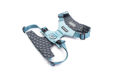 Comfort-Fit No-Pull Padded Dog Harness - Winchester aqua haze bottom