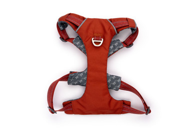Comfort-Fit No-Pull Padded Dog Harness - Winchester ketchup top