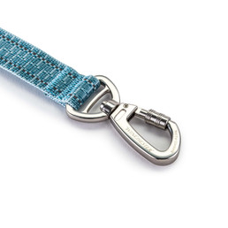 Deluxe Carabiner Leash 6-Foot - aqua haze