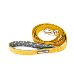 Deluxe Carabiner Leash 6-Foot - Hawaiian sunset coiled