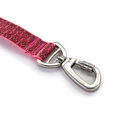 Deluxe Carabiner Leash 6-Foot - desert rose