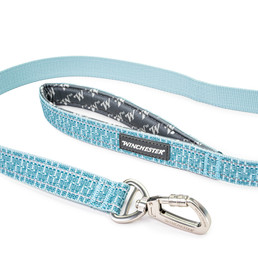 Deluxe Carabiner Leash 6-Foot - aqua haze handle and carabiner cropped