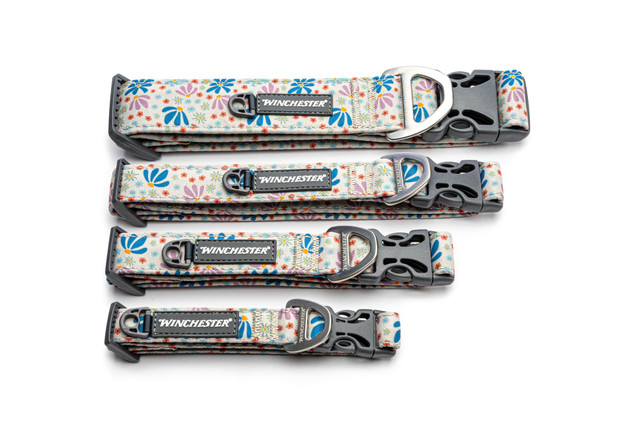 Designer Dog Collar - Winchester - Abstract Floral four sizes