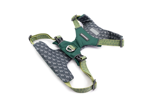 Comfort-Fit No-Pull Padded Dog Harness - Winchester smoke pine bottom