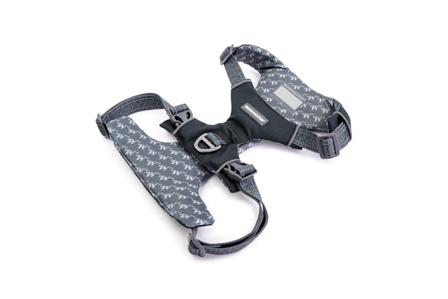 Comfort-Fit No-Pull Padded Dog Harness - Winchester stretch limo bottom