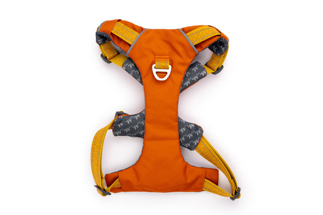 Comfort-Fit No-Pull Padded Dog Harness - Winchester Hawaiian sunset top