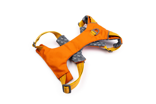 Comfort-Fit No-Pull Padded Dog Harness - Winchester Hawaiian sunset