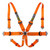 Magnum 6-point HANS
Race Tech