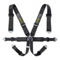 Pro 6-Point RaceTech belts