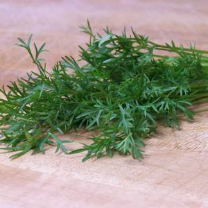 Corantro Cilantro - (Coriander) 18ct