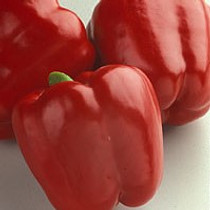 Peppers - Sweet Red Knight 12-4 paks