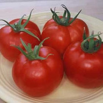 Tomato - Early Girl 18ct